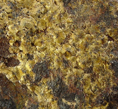 Cacoxenite on Limonite from Hellertown, Northampton, Pennsylvania