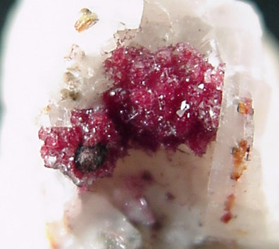 Cuprite var. Chalcotrichite from Tsumeb Mine, Otavi-Bergland District, Oshikoto, Namibia