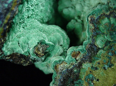 Malachite from Tsumeb Mine, Otavi-Bergland District, Oshikoto, Namibia