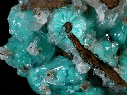 Aurichalcite and Calcite from Mina Ojuela, Mapimi, Durango, Mexico