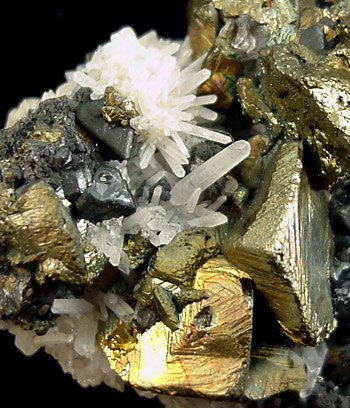 Chalcopyrite on Quartz from Bandora Mine, Silverton, San Juan County, Colorado