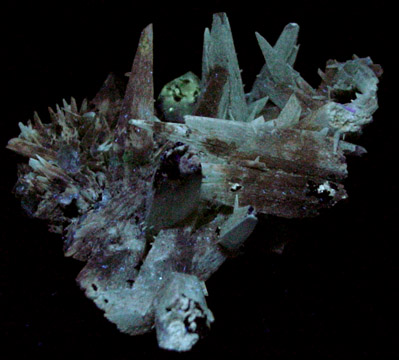 Calcite from Minerva No. 1 Mine, Hardin County, Illinois