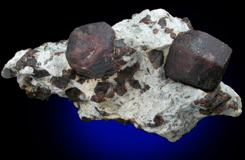 Almandine Garnet with Staurolite from Green's Farm, 750 m. ESE of Roxbury Falls, Roxbury, New Haven County, Connecticut