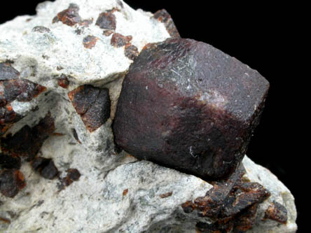 Almandine Garnet with Staurolite from Green's Farm, 750 m. ESE of Roxbury Falls, Roxbury, New Haven County, Connecticut