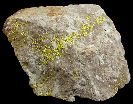 Tyuyamunite from Marie Mine, Carbon County, Montana