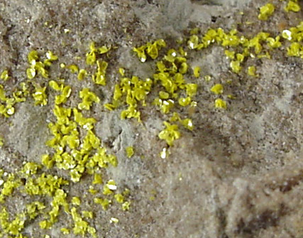 Tyuyamunite from Marie Mine, Carbon County, Montana