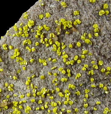 Tyuyamunite from Marie Mine, Carbon County, Montana
