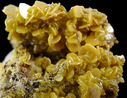 Wulfenite from Stevenson-Bennet Mine, Organ Mountains, Doa Ana County, New Mexico