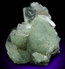Hydroxyapophyllite-(K) (formerly apophyllite-(KOH)) on Prehnite from Chantilly Quarry, Loudon County, Virginia