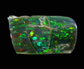 Opalized Wood - Black Opal from Virgin Valley, Humboldt County, Nevada