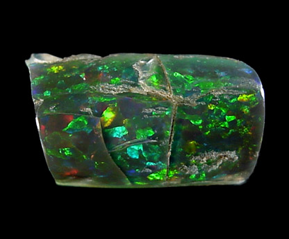 Opalized Wood - Black Opal from Virgin Valley, Humboldt County, Nevada