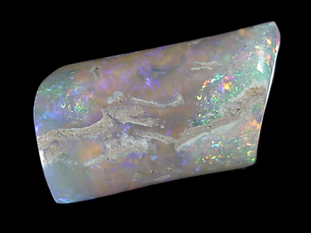 Opalized Fossil Bone from White Cliffs, New South Wales, Australia