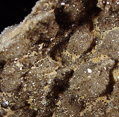 Petrified Wood with Quartz from Brilliant, Macon County, Alabama