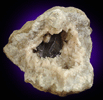 Sphalerite in Calcite Geode from Geode area, Keokuk, Iowa