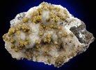 Mottramite / Descloizite from Summit Mine, Broadwater County, Montana