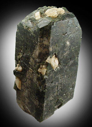 Diopside from Scott Property, Fine, St. Lawrence County, New York