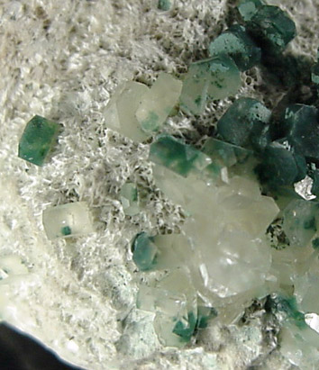Apophyllite on Pectolite from Upper New Street Quarry, Paterson, Passaic County, New Jersey