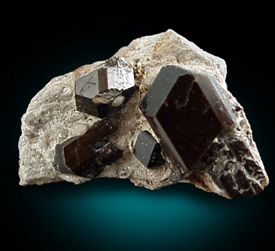 Buergerite Tourmaline on matrix from near Mexquitic, San Luis Potosi, Mexico (Type Locality for Buergerite)