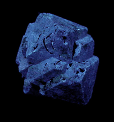 Mellite from Csordakut, Hungary