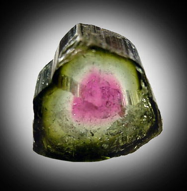 Elbaite Tourmaline (polished section) from Minas Gerais, Brazil