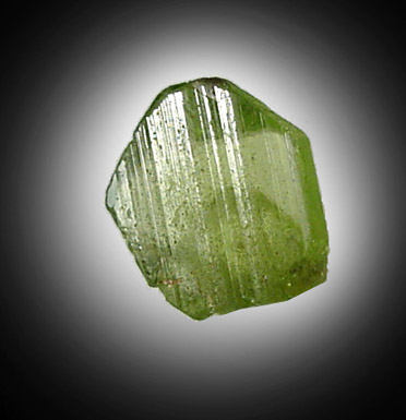 Forsterite var. Peridot from St. John's Island, Red Sea, Egypt