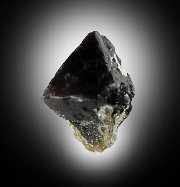 Spinel from Lime Crest Quarry (Limecrest), Sussex Mills, 4.5 km northwest of Sparta, Sussex County, New Jersey