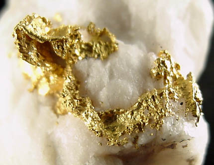 Gold in Quartz from Bendigo, Victoria, Australia