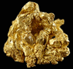 Gold from Sixteen-To-One Mine (16 to 1 Mine), Alleghany, 35 km NE of Grass Valley, Sierra County, California