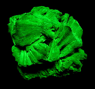 Autunite from Dahl Lease, Daybreak Mine, Spokane, Washington