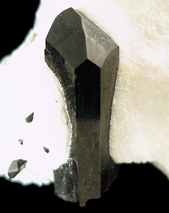 Neptunite from Benitoite Gem Mine, San Benito County, California