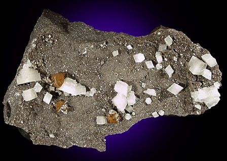 Sphalerite and Dolomite from Dolomite Products Quarry, Penfield, Monroe County, New York