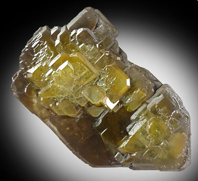 Wulfenite from Glove Mine, Santa Cruz County, Arizona