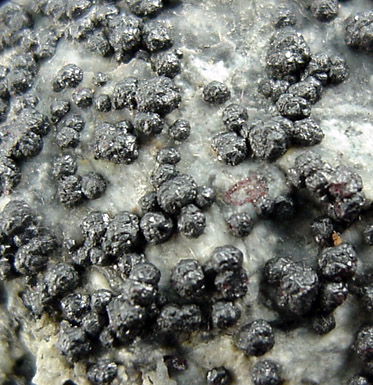 Metacinnabar from Mount Diablo Mine, Contra Costa County, California