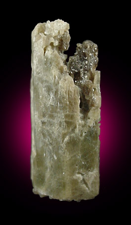 Edenite from Lime Crest Quarry (Limecrest), Sussex Mills, 4.5 km northwest of Sparta, Sussex County, New Jersey