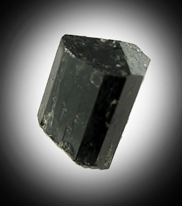 Schorl Tourmaline from Route 9A road cut, Haddam, Middlesex County, Connecticut