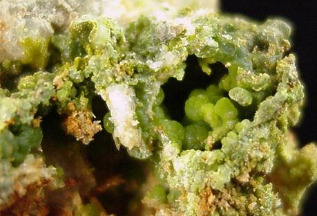 Pyromorphite from Wheatley Mine, Phoenixville, Pennsylvania