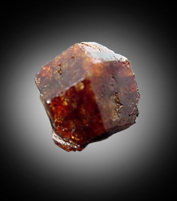 Grossular Garnet from road cut west of Coe Hill, Ontario, Canada