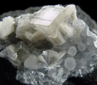 Apophyllite and Thomsonite from Moonen Bay, Isle of Skye, Scotland