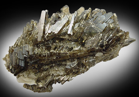 Epidote from Tormiq area, northwest of Skardu, Haramosh Mountains, Baltistan, Gilgit-Baltistan, Pakistan