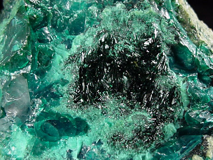 Atacamite in Chrysocolla from La Farola Mine, Copiapo, Atacama Desert, Chile