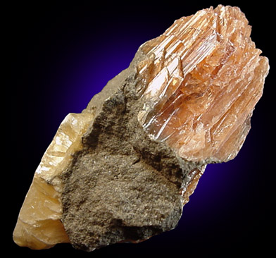 Celestine from Inglewood, Ontario, Canada