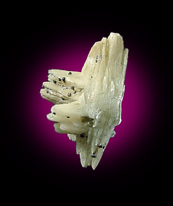Orthoclase var. Adularia from Keystone Trap Rock Quarry, Cornog, Chester County, Pennsylvania