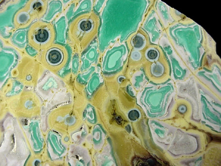Variscite, Pseudowavellite, Wardite from Little Green Monster Variscite Mine, Fairfield, Utah