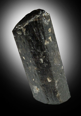 Fluoro-richterite (Fluororichterite) from Monmouth Township, Wilberforce, Ontario, Canada
