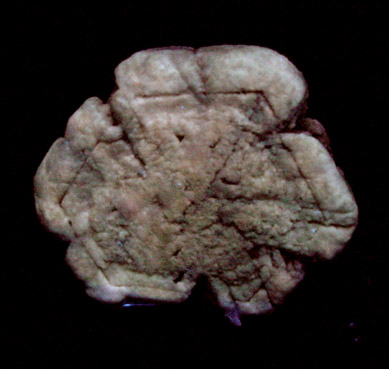 Dolomite pseudomorph after Aragonite from Lovell, Big Horn County, Wyoming