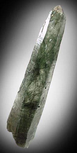 Actinolite in Quartz from Alchuri, Shigar Valley, Skardu District, Baltistan, Gilgit-Baltistan, Pakistan