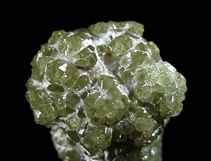 Andradite Garnet var. Demantoid from Val Malenco, Sondrio, Italy