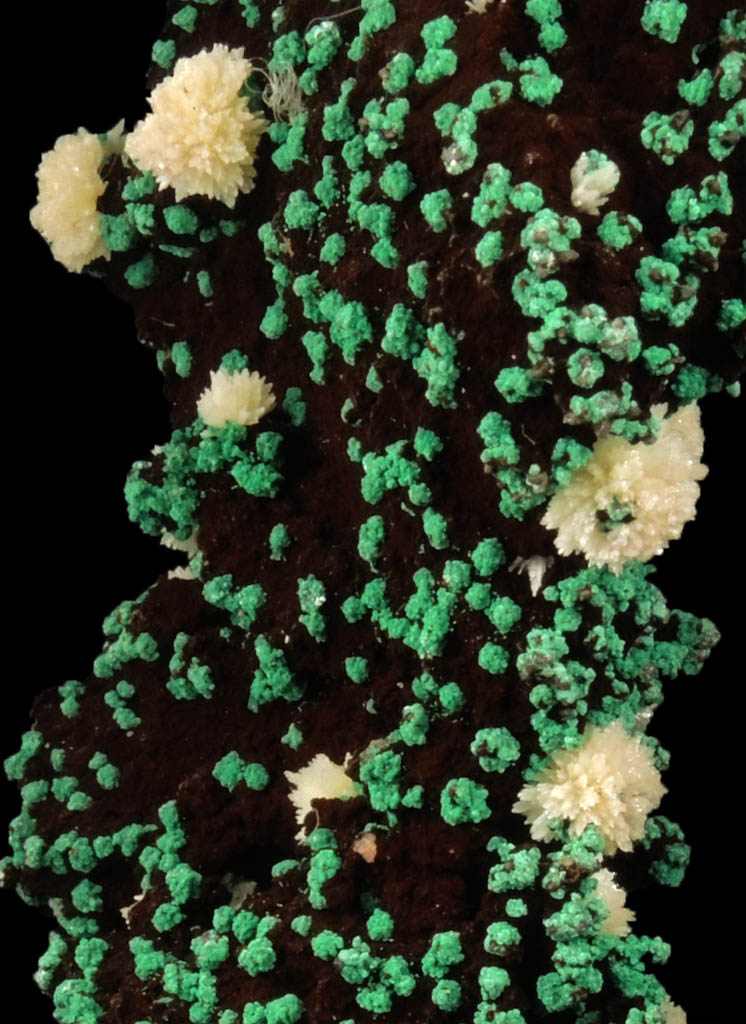 Malachite and Mimetite from Tsumeb Mine, Otavi-Bergland District, Oshikoto, Namibia