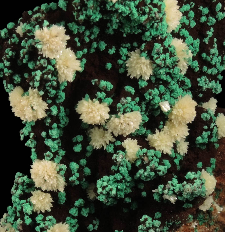 Malachite and Mimetite from Tsumeb Mine, Otavi-Bergland District, Oshikoto, Namibia