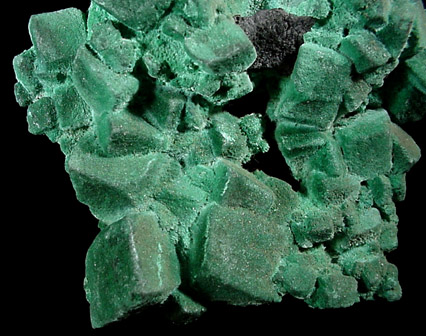 Malachite pseudomorphs after Azurite from New Cornelia Mine, Ajo, Pima County, Arizona